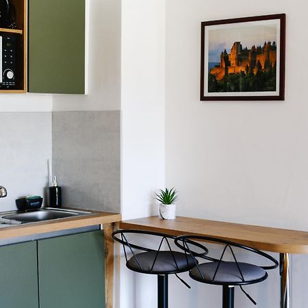 Studio Avec Parking Vue Sur La Cite De 卡尔卡松 外观 照片