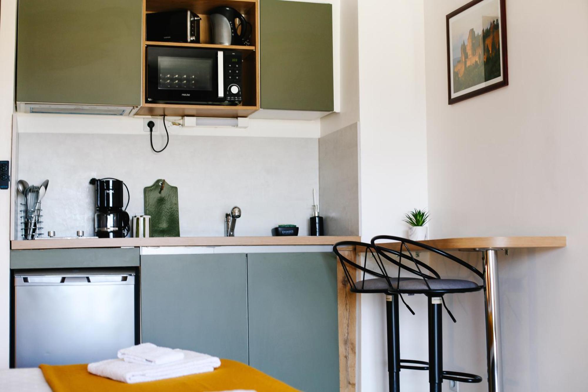 Studio Avec Parking Vue Sur La Cite De 卡尔卡松 外观 照片